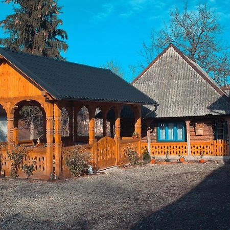 Gasthaus La Rodica In Vale Ocna Şugatag Exterior foto