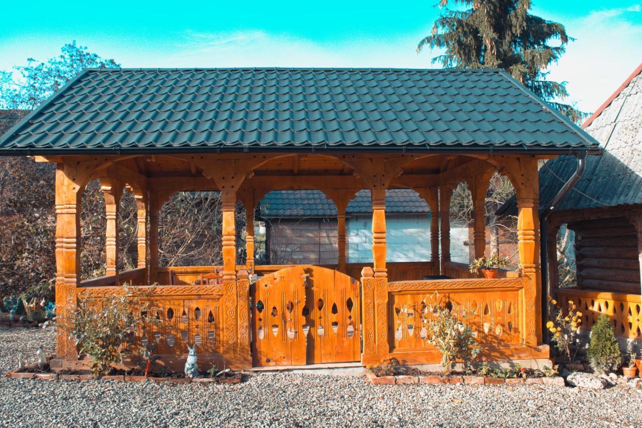 Gasthaus La Rodica In Vale Ocna Şugatag Exterior foto