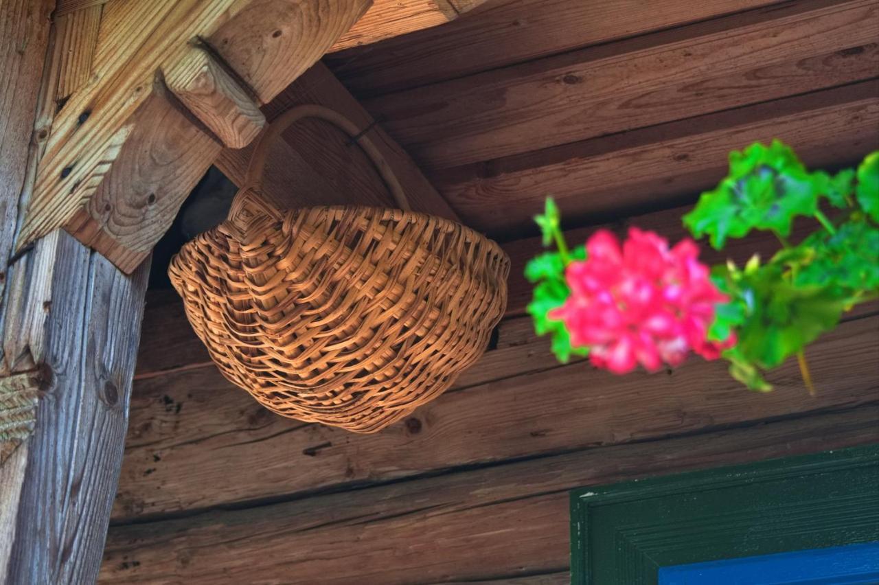 Gasthaus La Rodica In Vale Ocna Şugatag Exterior foto