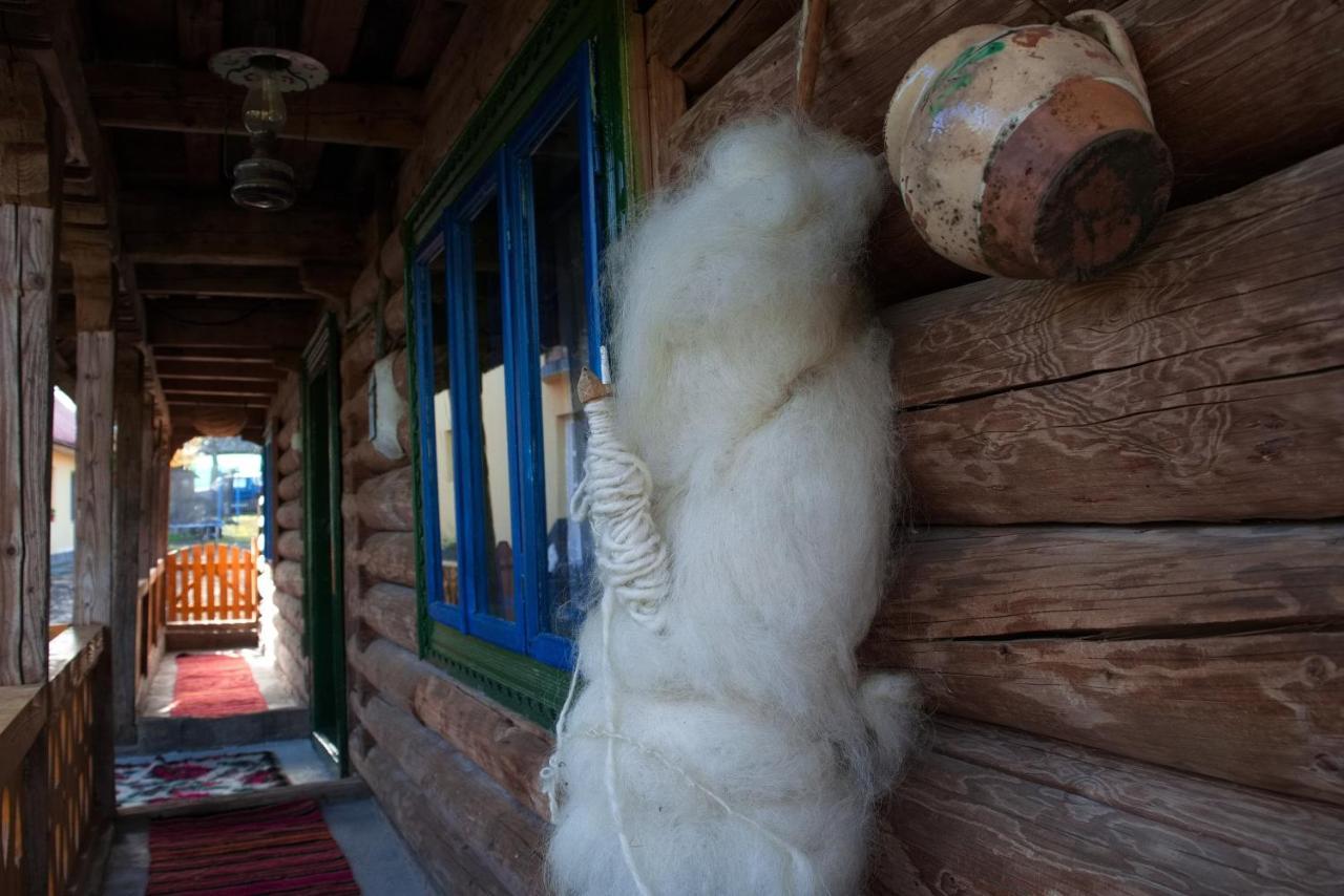Gasthaus La Rodica In Vale Ocna Şugatag Exterior foto