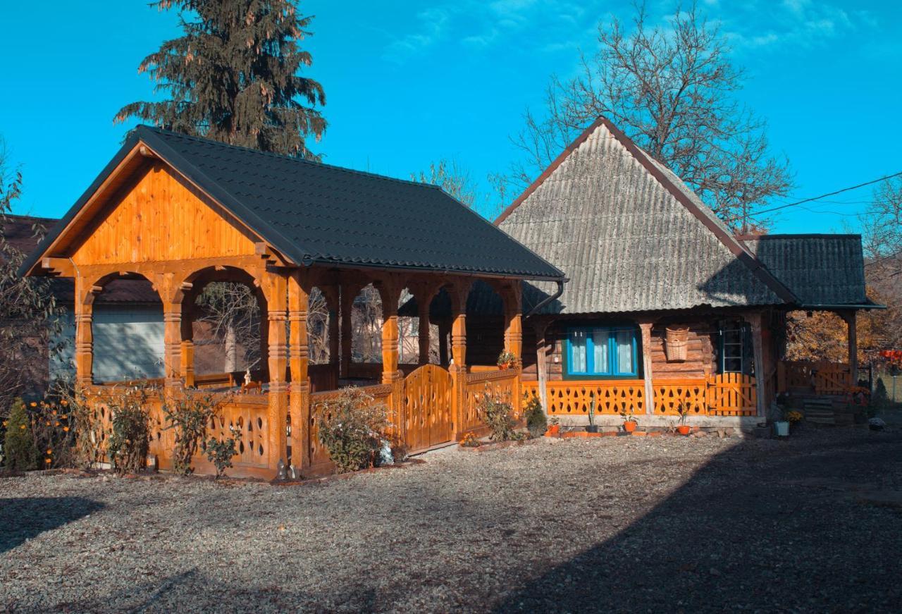 Gasthaus La Rodica In Vale Ocna Şugatag Exterior foto