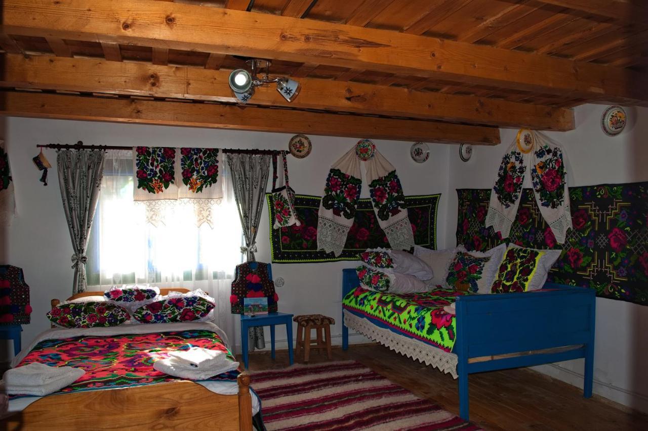 Gasthaus La Rodica In Vale Ocna Şugatag Exterior foto