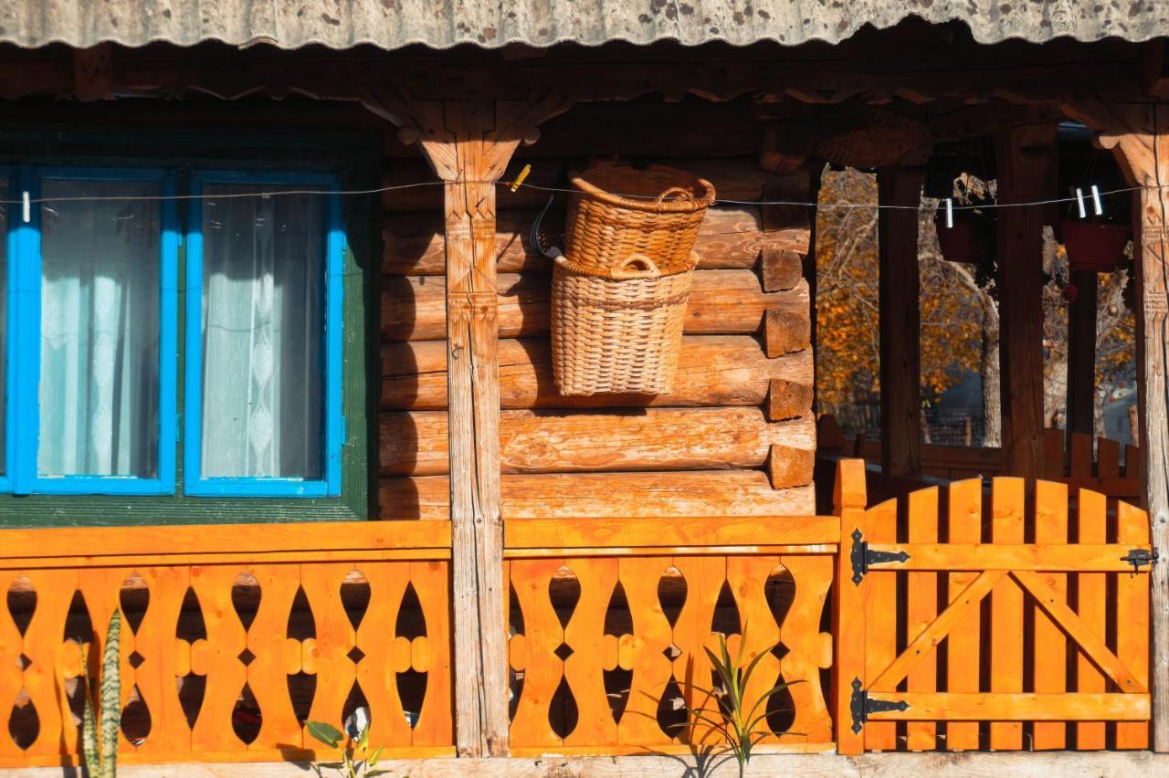 Gasthaus La Rodica In Vale Ocna Şugatag Exterior foto