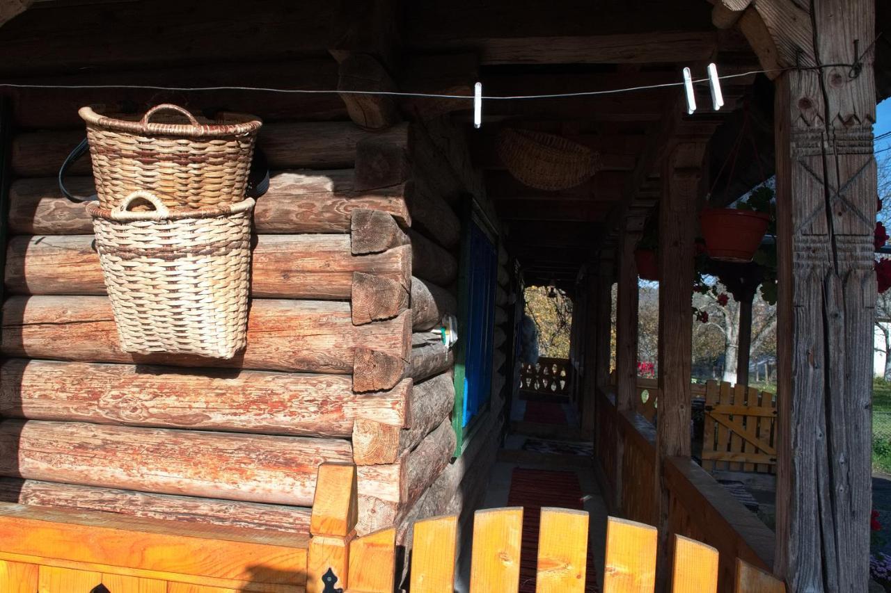 Gasthaus La Rodica In Vale Ocna Şugatag Exterior foto