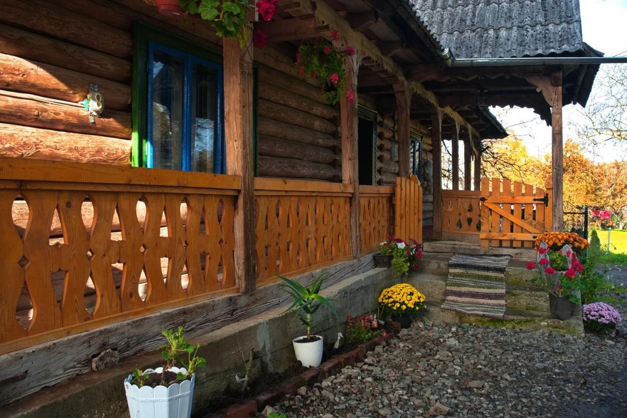 Gasthaus La Rodica In Vale Ocna Şugatag Exterior foto