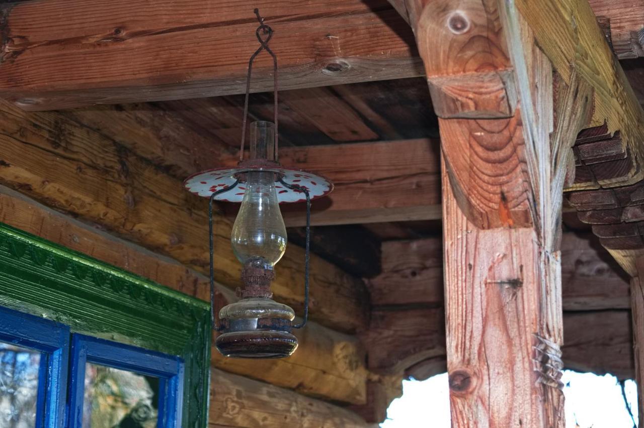 Gasthaus La Rodica In Vale Ocna Şugatag Exterior foto